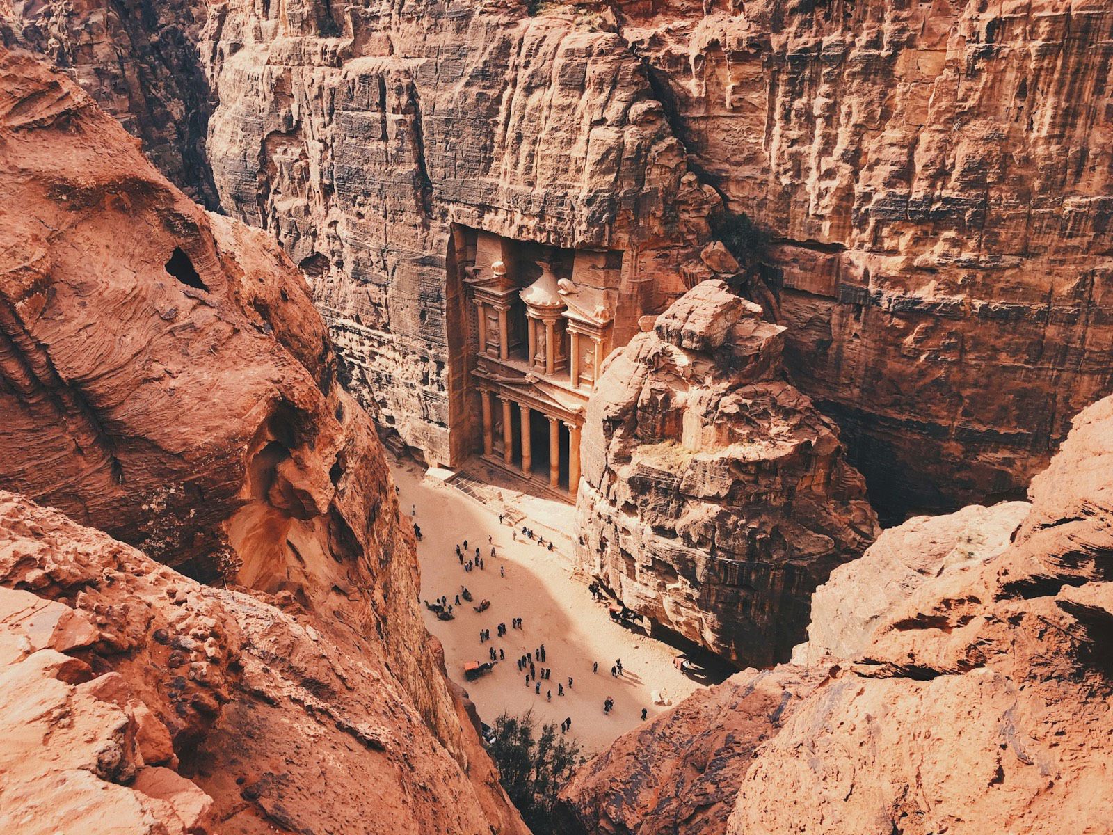Pivoting from Tunisian Derja to Shami