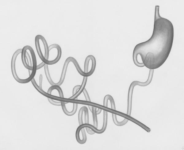 A Rough Week. We’ll Start Over Next Week