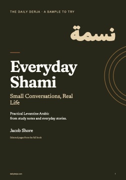 Cover of the Everyday Shami ebook
